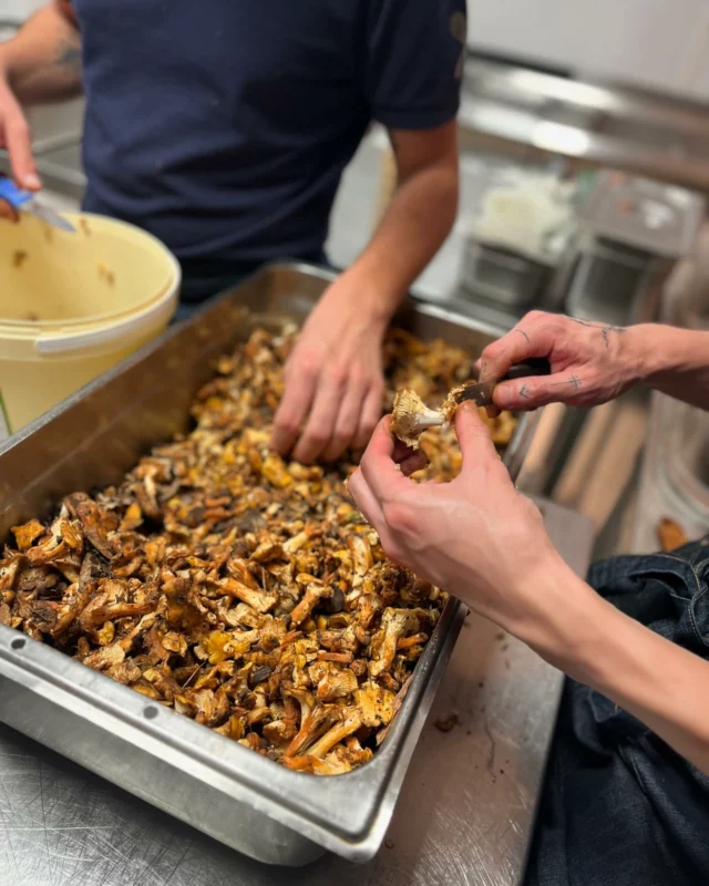 Les girolles arrivent doucement … nos cuisiniers s’affairent en cuisine pour vous les préparer 🍄🍂

#champignon #girolles #restaurantmontpellier #instafood #instagood #foodporn